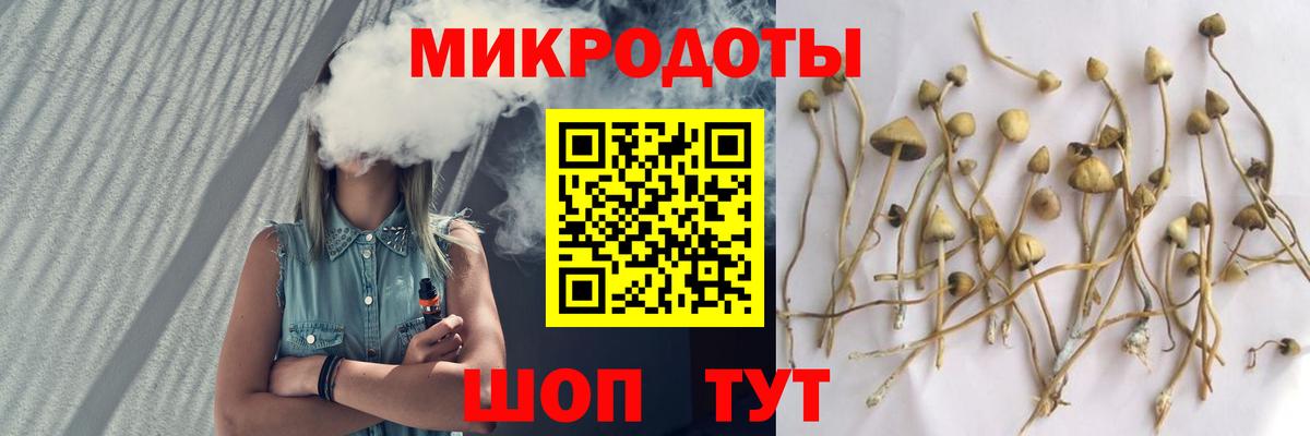 Псилоцибиновые грибы GOLDEN TEACHER  Вход с VPN  Галлюциногенные грибы мухоморы  Отрадный 